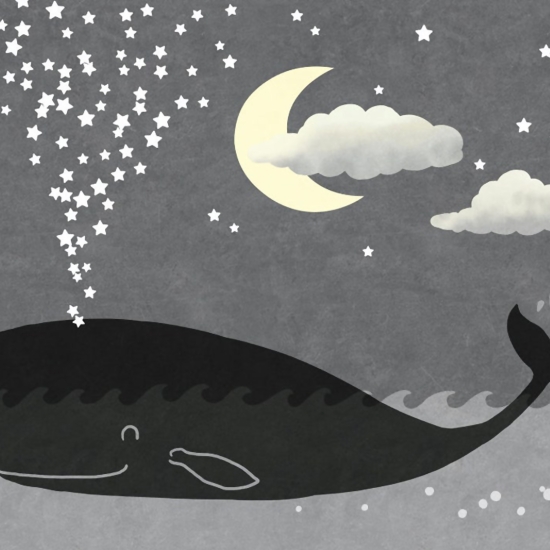 Fototapet copii  Art. 030364