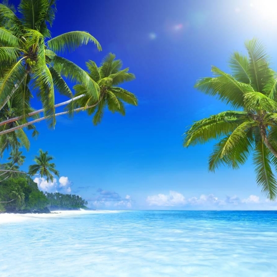 Fototapete, Dimineata frumoasa pe plaja Art.01333