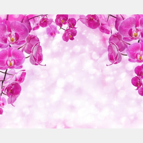 Fototapete, Farmece roz Art.01164