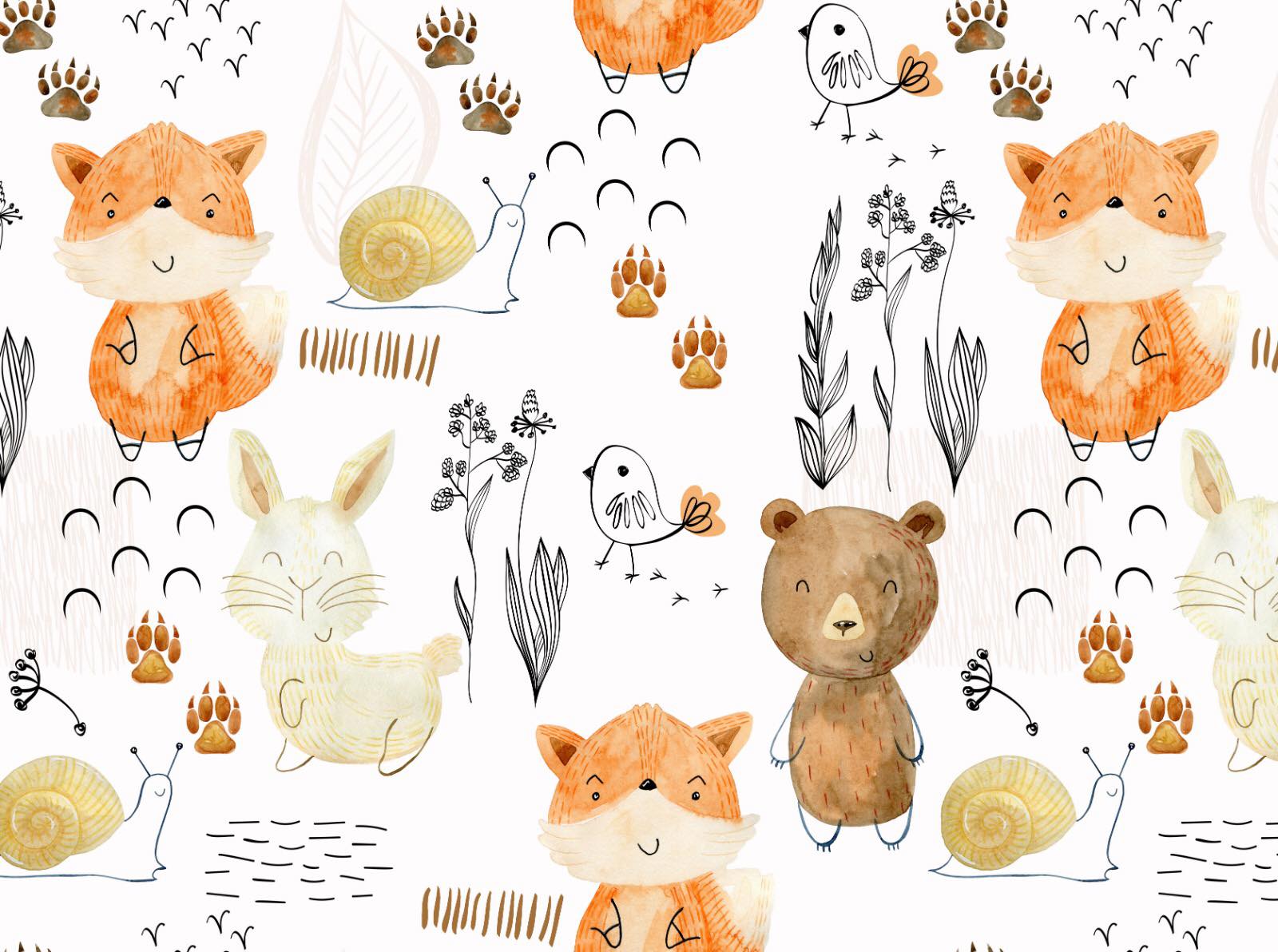 изображение_viber_2023-01-16_10-08-43-979